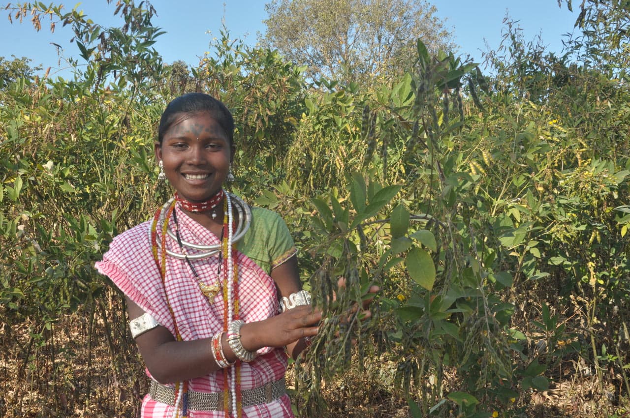 A tribal millet farmer in her field in Madhya Pradesh